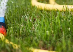 bảo vệ nguồn nước