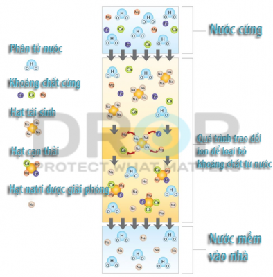 Quá trình trao đổi ion