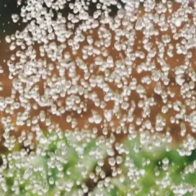 Bảo tồn nước để bảo vệ trái đất