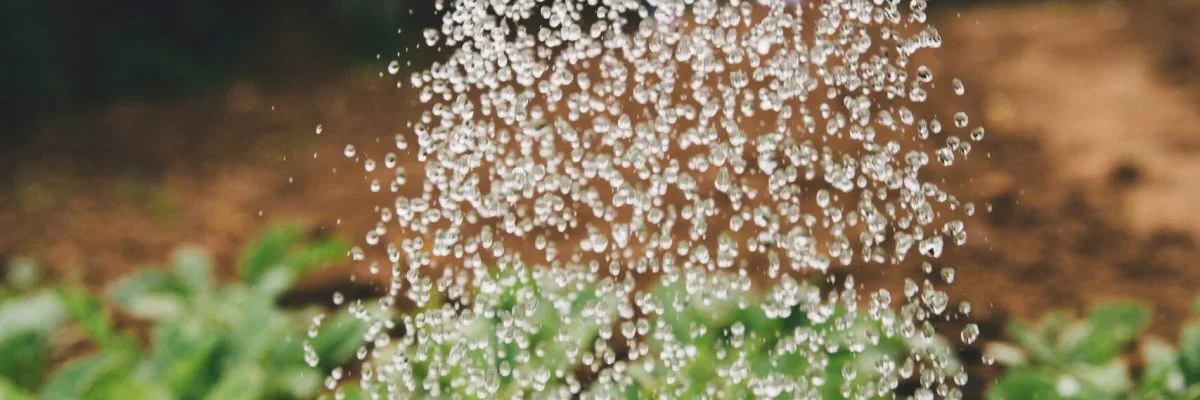 Bảo tồn nước để bảo vệ trái đất