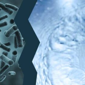 Vi khuẩn Coliforms trong nước uống, rủi ro và giải pháp phòng ngừa