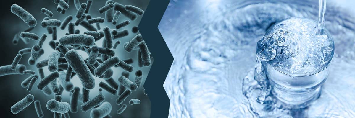 Vi khuẩn Coliforms trong nước uống, rủi ro và giải pháp phòng ngừa