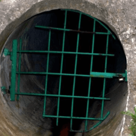 Vi rút trong nước uống