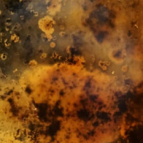 Xử lý vi khuẩn sắt trong nước