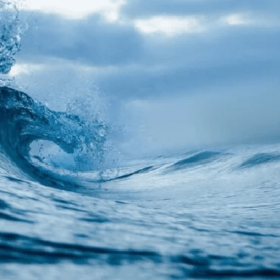 Cách xử lý xâm nhập nước mặn