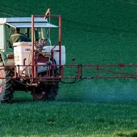 Glyphosate trong nước và ảnh hưởng của nó đến sức khỏe thế nào?