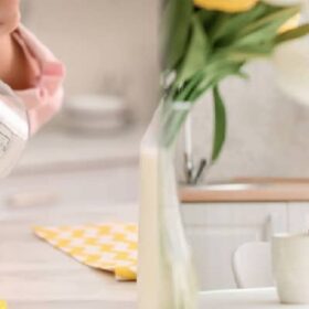 Có nên sử dụng nước lọc để pha sữa công thức