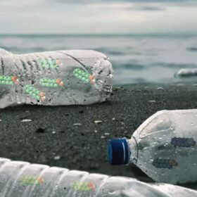 Nhựa vĩnh cửu, tác động và giải pháp xử lý