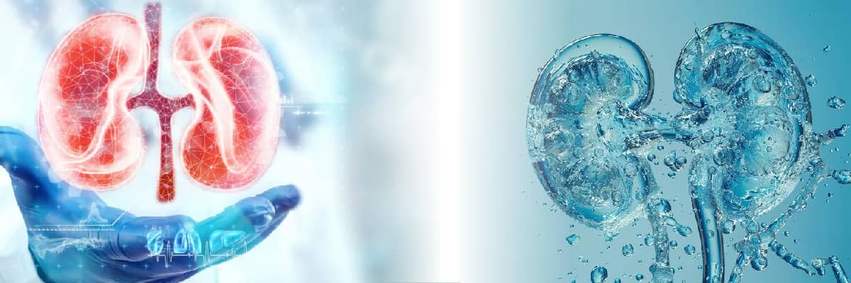 Tại sao nước quan trọng đối với thận