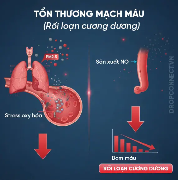 Nước và không khí ô nhiễm - đang làm suy giảm sinh lý nam giới